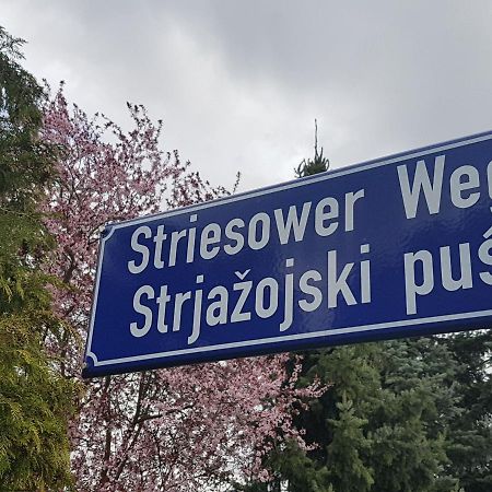 2 Raum Gartenwohnung Am Spreewaldradweg In Cottbus Extérieur photo